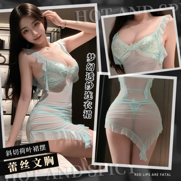 Parisian Lover Dreamy Sheer Dress